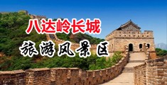 免费看操逼网站中国北京-八达岭长城旅游风景区